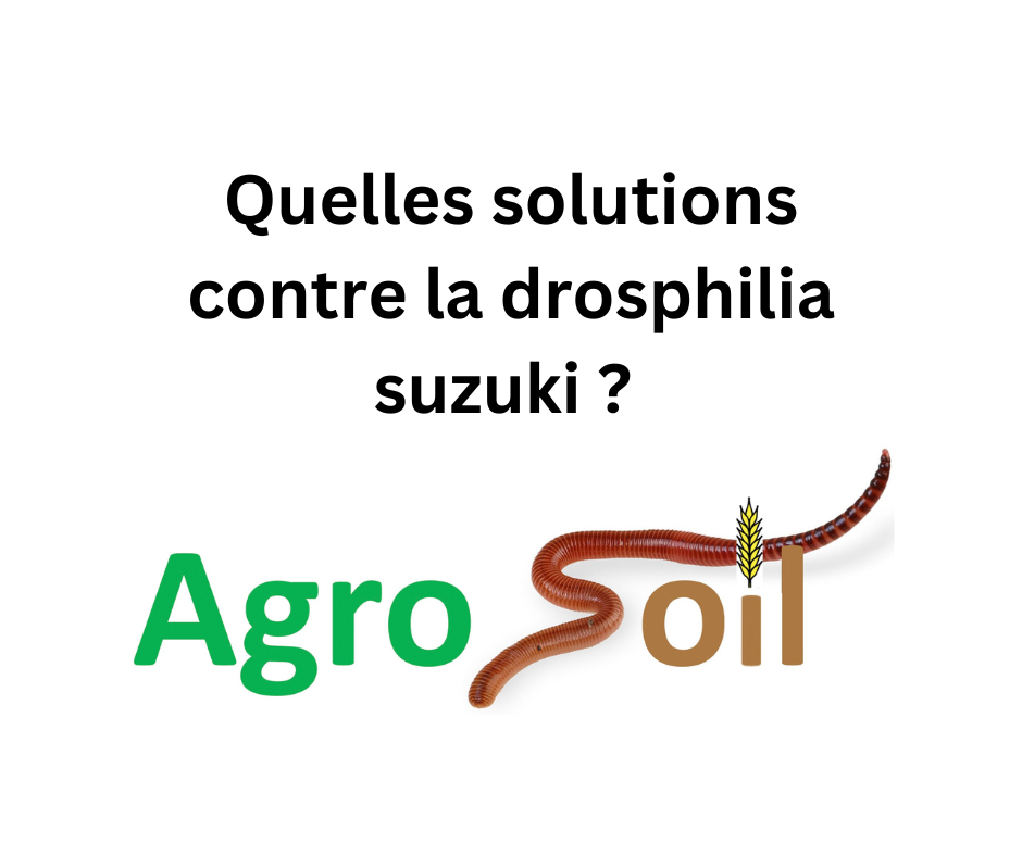 Quelles solutions contre la drosphilia suzuki